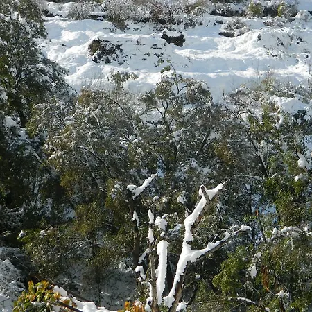 Enipnion 카코페트리아